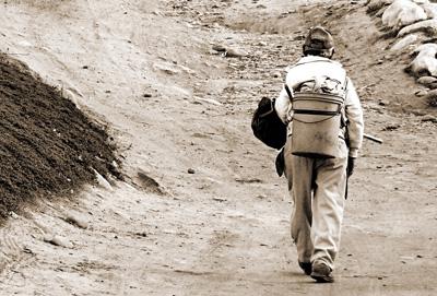 Fotograf�a: La Soledad del Siervo
