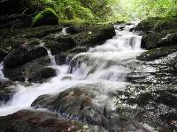 Fotograf�a: R�os de Agua Viva