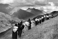 Fotograf�a: Una Carga de Tierra