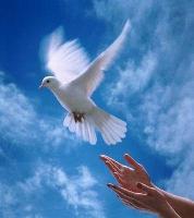 Fotograf�a: Fe, Obediencia y Guerra Espiritual