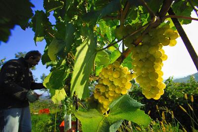 Fotograf�a: Condiciones para una vida Fruct�fera