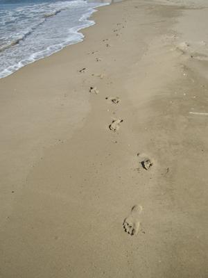 Fotograf�a: �D�nde est�s t�?
