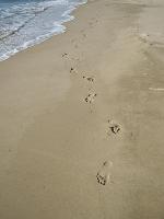 Fotograf�a: �D�nde est�s t�?